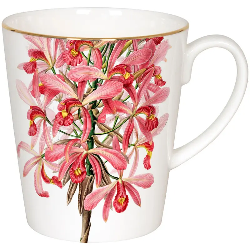 600Ml Floral Ceramic Mug Featuring "Wunderbar – Laelia Superbiens" Design – 10Cm Diameter × 11.2Cm Height 1