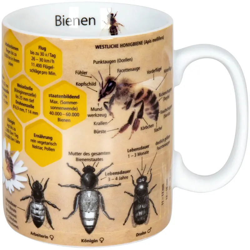 Bee-Themed Knowledge Mug – 460 Ml Wissensbecher With Ergonomic Dimensions (9 × 11 Cm) 1