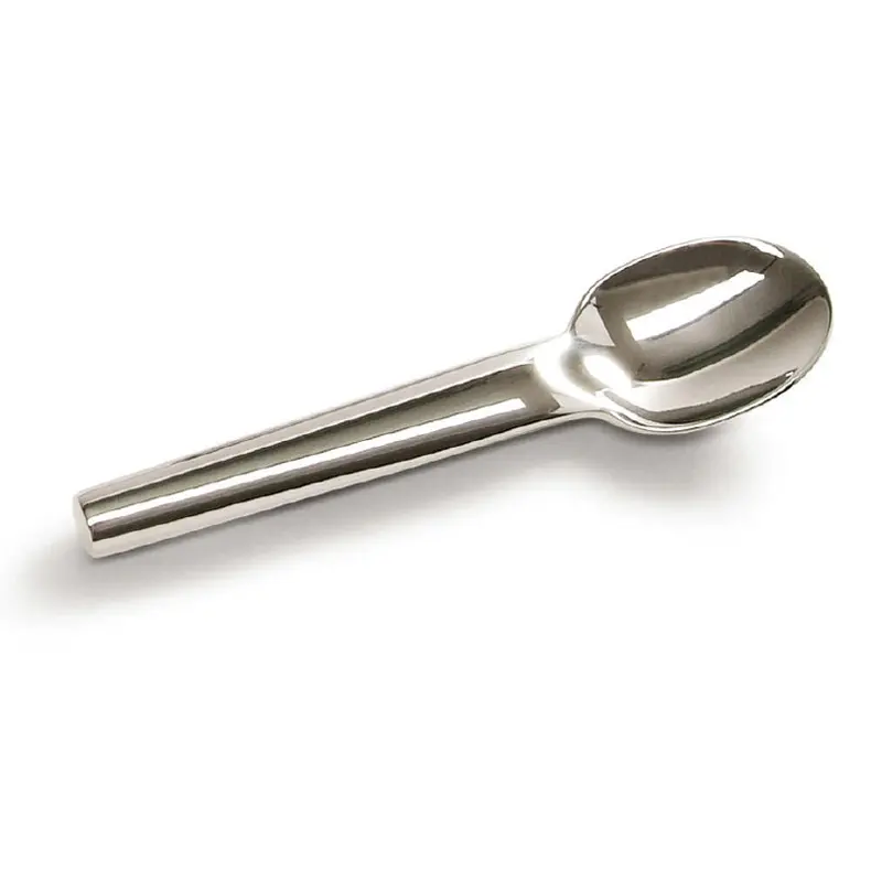 Extra-Large Stainless Steel Tea Spoon 1