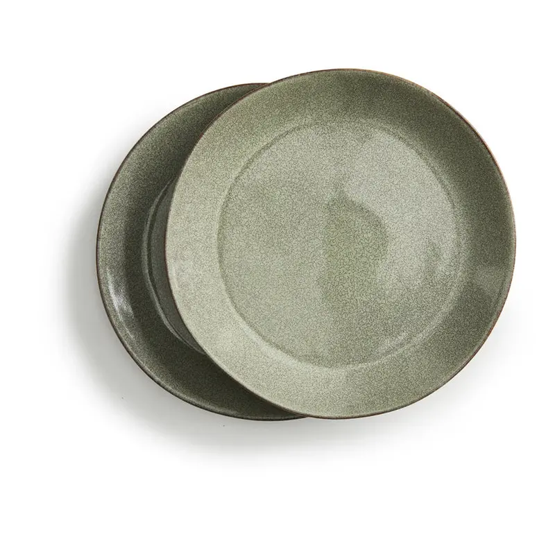 Nature-Inspired Flat Dinner Plate Set – 2 Pcs, 22 Cm Diameter 1