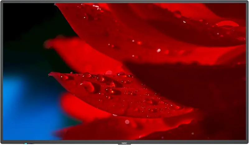 Nec Multisync® Ma551 – 55" 4K Message Advanced Large-Format Display | 60005056 1