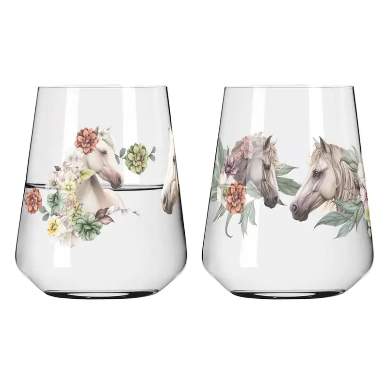 Reitgold #1 Oliveira Water Glass Set – 2-Piece Assorted Pack (51 Cl, 9.3 Cm Diameter × 11 Cm Height) 1