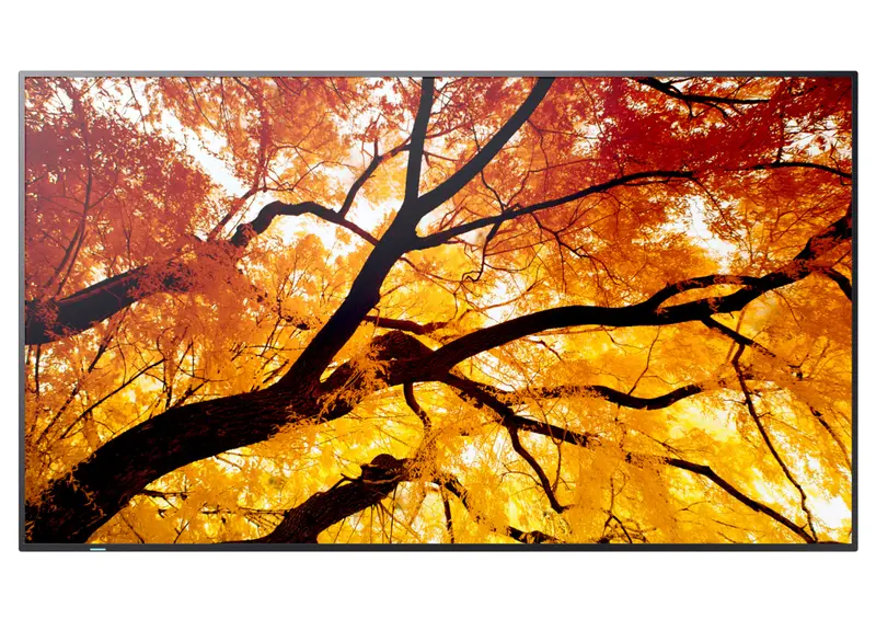 Sharp Multisync M552 55-Inch 4K Uhd Message Display – Optimized For Public Information Systems 1