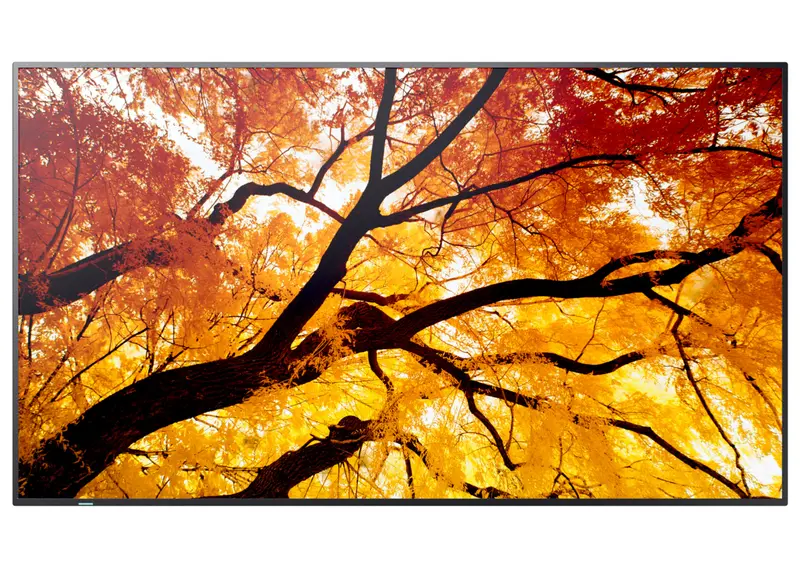 Sharp Multisync M982 — 98-Inch 4K Uhd Message-Oriented Large-Format Display 1